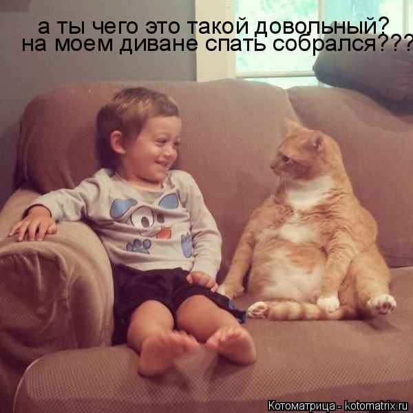 Котоматрица: а ты чего это такой довольный? на моем диване спать собрался???