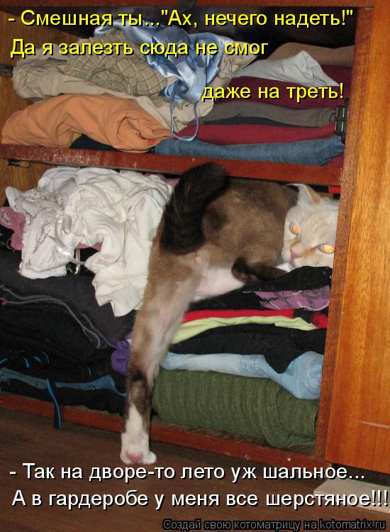 - Смешная ты..."Ах, нечего надеть!" Да я залезть сюда не смог даже на треть! - Так на дворе-то лето у... Котоматрица: - Смешная ты..."Ах, нечего надеть!" Да я залезть сюда не смог даже на треть! - Так на дворе-то лето уж шальное... А в гардеробе у меня все шерстяное