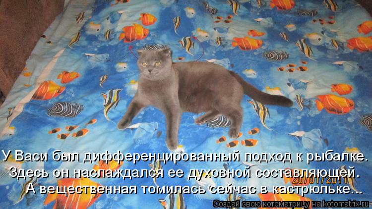 У Васи был дифференцированный подход к рыбалке. Здесь он наслаждался ее духовной составляющей. А веще... Котоматрица: У Васи был дифференцированный подход к рыбалке. Здесь он наслаждался ее духовной составляющей. А вещественная томилась сейчас в кастрюльк