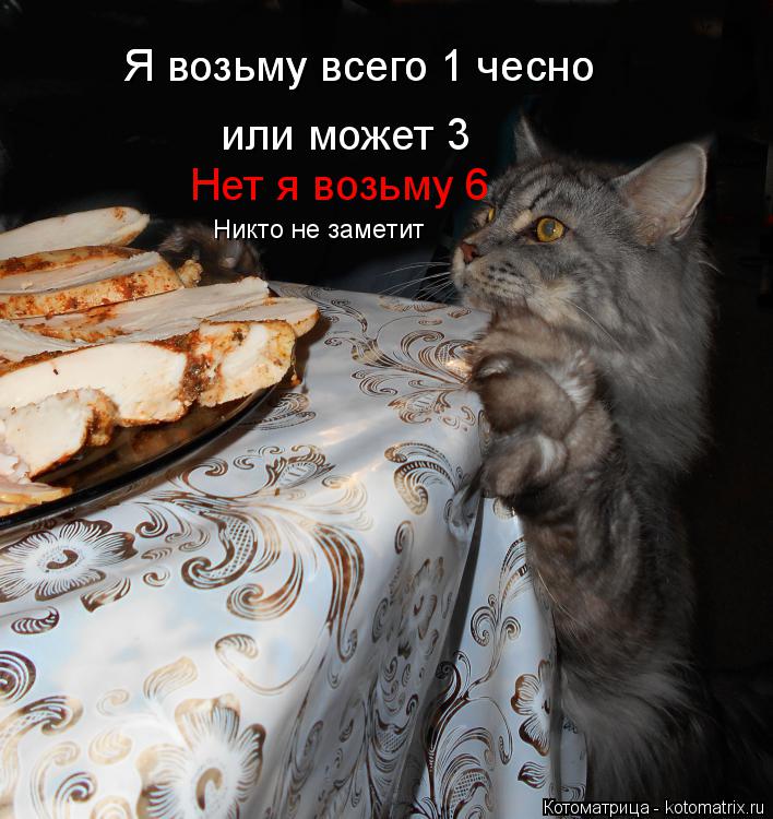 Я возьму всего 1 чесно или может 3 Я возьму всего 1 чесно Нет я возьму 6 Никто не заметит... Котоматрица: Я возьму всего 1 чесно или может 3 Я возьму всего 1 чесно Нет я возьму 6 Никто не заметит