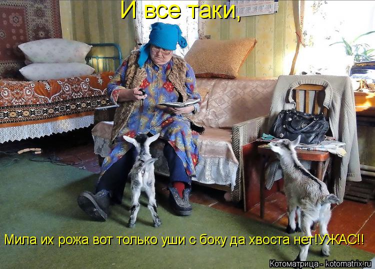 Котоматрица: И все таки, Мила их рожа вот только уши с боку да хвоста нет!УЖАС!!