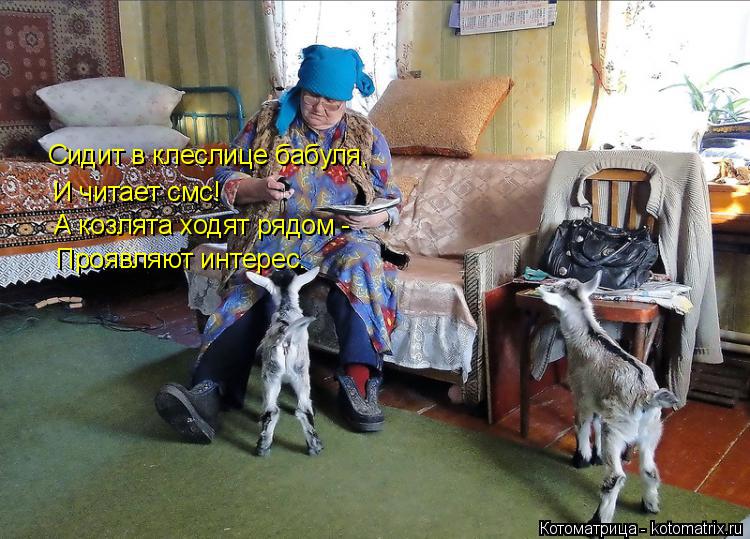 Сидит в клеслице бабуля, И читает смс! А козлята ходят рядом - Проявляют интерес.... Котоматрица: Сидит в клеслице бабуля, И читает смс! А козлята ходят рядом - Проявляют интерес.
