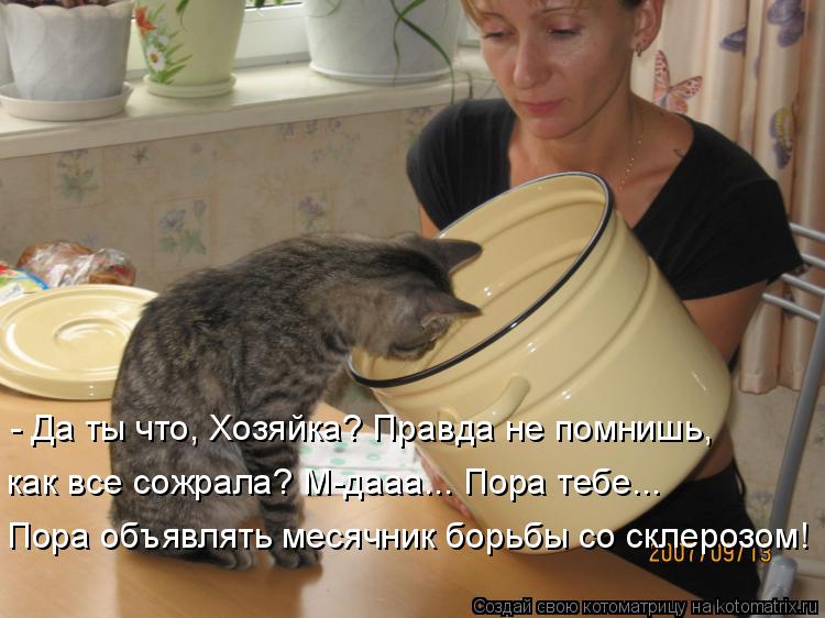- Да ты что, Хозяйка? Правда не помнишь, как все сожрала? М-дааа... Пора тебе... Пора объявлять меся... Котоматрица: - Да ты что, Хозяйка? Правда не помнишь, как все сожрала? М-дааа... Пора тебе... Пора объявлять месячник борьбы со склерозом!