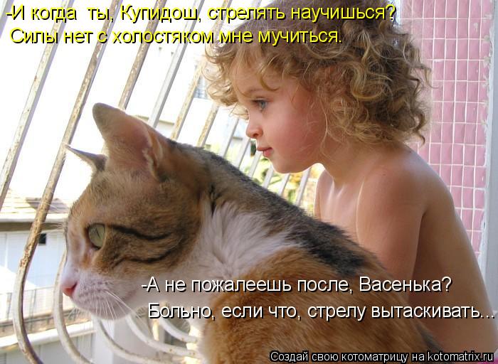 Котоматрица: -И когда  ты, Купидош, стрелять научишься? Больно, если что, стрелу вытаскивать... -А не пожалеешь после, Васенька? Силы нет с холостяком мне му