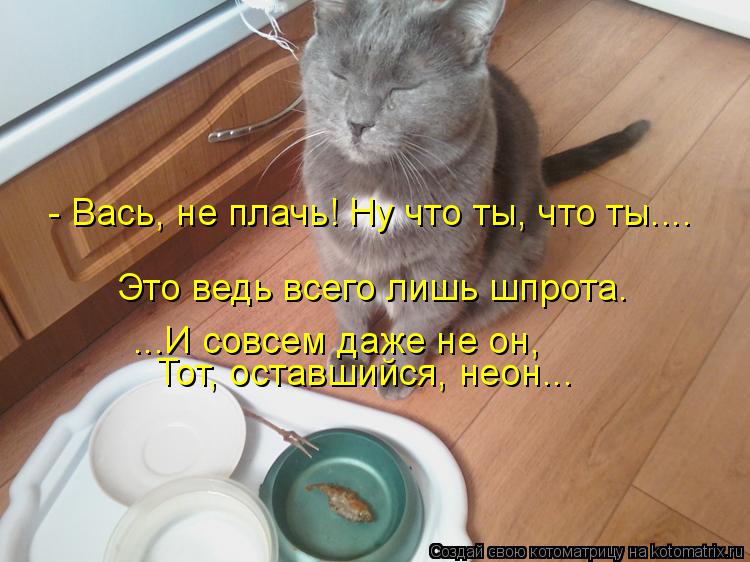 - Вась, не плачь! Ну что ты, что ты.... Это ведь всего лишь шпрота. Тот, оставшийся, неон... ...И сов... Котоматрица: - Вась, не плачь! Ну что ты, что ты.... Это ведь всего лишь шпрота. Тот, оставшийся, неон... ...И совсем даже не он,