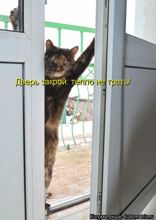 Дверь закрой: тепло не трать!... Котоматрица: Дверь закрой: тепло не трать!