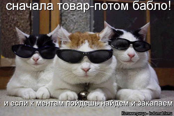 сначала товар-потом бабло! и если к ментам пойдешь найдем и закапаем... Котоматрица: сначала товар-потом бабло! и если к ментам пойдешь найдем и закапаем