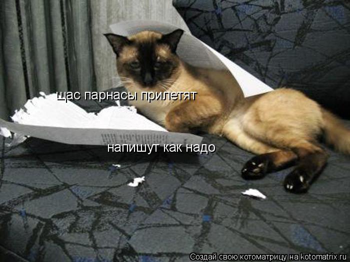 щас парнасы прилетят напишут как надо... Котоматрица: щас парнасы прилетят напишут как надо