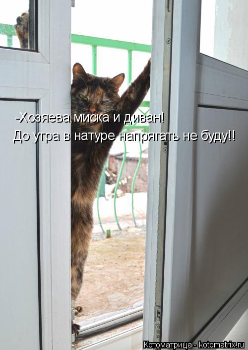 -Хозяева,миска и диван! До утра в натуре напрягать не буду!!... Котоматрица: -Хозяева,миска и диван! До утра в натуре напрягать не буду!!