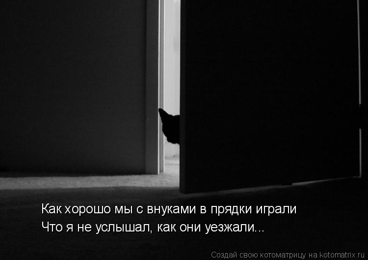 Как хорошо мы с внуками в прядки играли Что я не услышал, как они уезжали...... Котоматрица: Как хорошо мы с внуками в прядки играли Что я не услышал, как они уезжали...