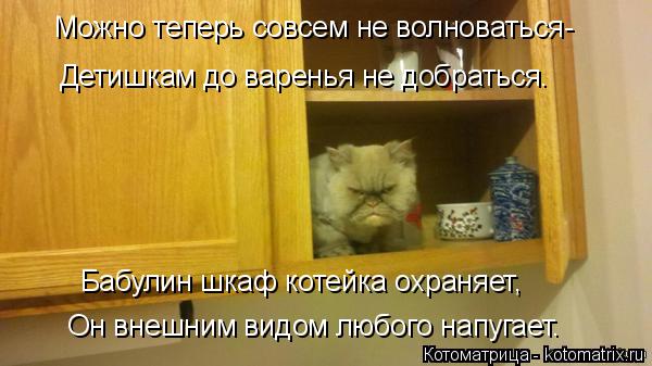 Можно теперь совсем не волноваться- Детишкам до варенья не добраться. Бабулин шкаф котейка охраняет,... Котоматрица: Можно теперь совсем не волноваться- Детишкам до варенья не добраться. Бабулин шкаф котейка охраняет, Он внешним видом любого напугает.