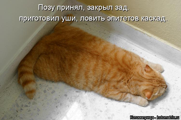 приготовил уши, ловить эпитетов каскад. Позу принял, закрыл зад.... Котоматрица: приготовил уши, ловить эпитетов каскад. Позу принял, закрыл зад.