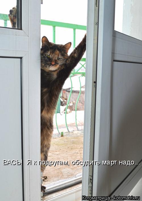 ВАСЬ! Я к подругам, обсудить март надо...... Котоматрица: ВАСЬ! Я к подругам, обсудить март надо...