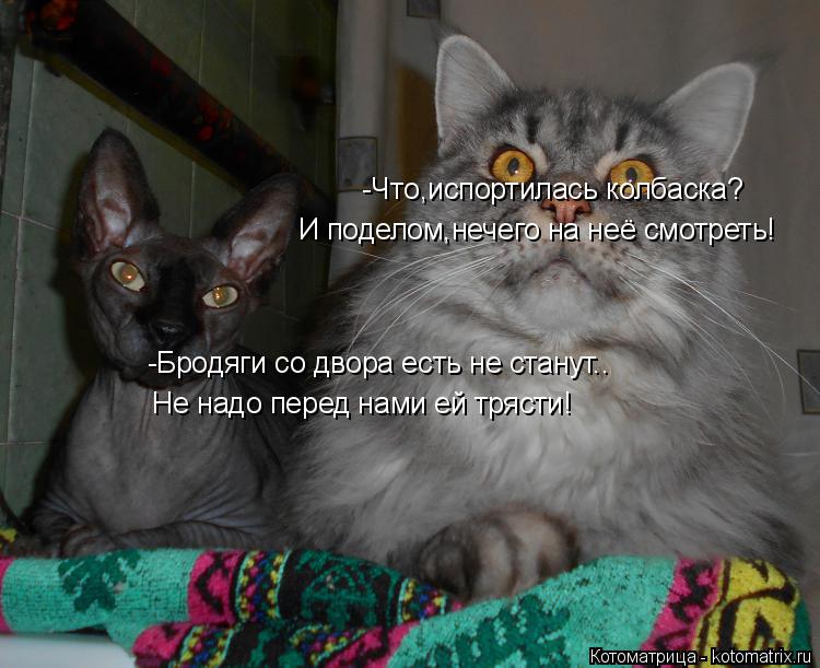 -Что,испортилась колбаска? И поделом,нечего на неё смотреть! -Бродяги со двора есть не станут.. Не н... Котоматрица: -Что,испортилась колбаска? И поделом,нечего на неё смотреть! -Бродяги со двора есть не станут.. Не надо перед нами ей трясти!