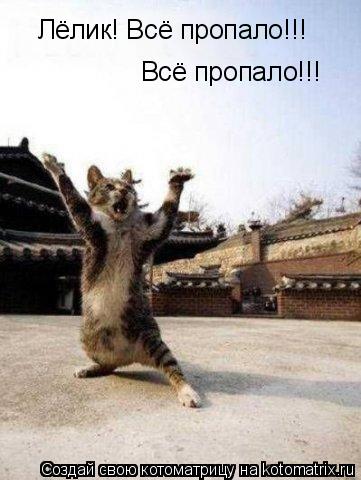 Лёлик! Всё пропало!!! Всё пропало!!!... Котоматрица: Лёлик! Всё пропало!!! Всё пропало!!!