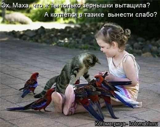 Эх, Маха, что ж ты только зёрнышки вытащила? А котлетки в тазике вынести слабо?... Котоматрица: Эх, Маха, что ж ты только зёрнышки вытащила? А котлетки в тазике вынести слабо?