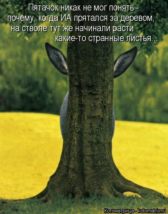 Пятачок никак не мог понять - почему, когда ИА прятался за деревом, на стволе тут же начинали расти к... Котоматрица: Пятачок никак не мог понять - почему, когда ИА прятался за деревом, на стволе тут же начинали расти какие-то странные листья...