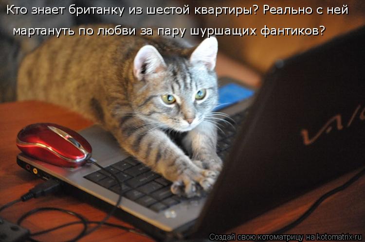 Кто знает британку из шестой квартиры? Реально с ней мартануть по любви за пару шуршащих фантиков?... Котоматрица: Кто знает британку из шестой квартиры? Реально с ней мартануть по любви за пару шуршащих фантиков?