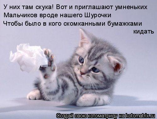 Котоматрица: У них там скука! Вот и приглашают умненьких Мальчиков вроде нашего Шурочки Чтобы было в кого скомканными бумажками кидать