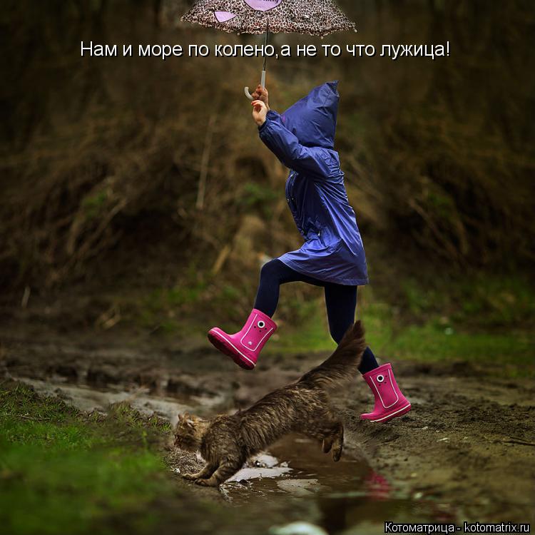 Нам и море по колено,а не то что лужица!... Котоматрица: Нам и море по колено,а не то что лужица!
