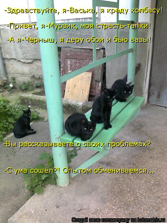 -Здравствуйте, я-Васька, я краду колбасу! -Привет, я-Мурзик, моя страсть-тапки! -А я-Черныш, я деру о... Котоматрица: -Здравствуйте, я-Васька, я краду колбасу! -Привет, я-Мурзик, моя страсть-тапки! -А я-Черныш, я деру обои и бью вазы! -Вы рассказываете о своих про