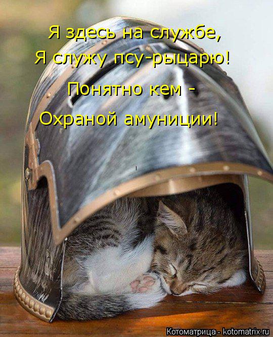 Я здесь на службе, Я служу псу-рыцарю! Понятно кем - Охраной амуниции!... Котоматрица: Я здесь на службе, Я служу псу-рыцарю! Понятно кем - Охраной амуниции!