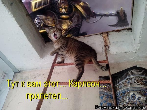 Тут к вам этот... Карлсон... прилетел...... Котоматрица: Тут к вам этот... Карлсон... прилетел...