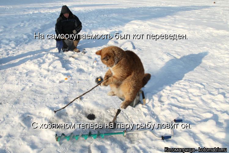 На самоокупаемость был кот переведен. С хозяином теперь на пару рыбу ловит он.... Котоматрица: На самоокупаемость был кот переведен. С хозяином теперь на пару рыбу ловит он.