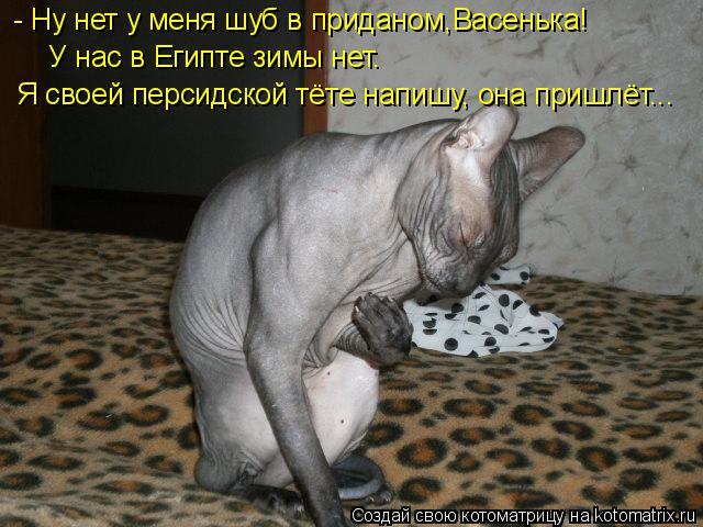 - Ну нет у меня шуб в приданом,Васенька! У нас в Египте зимы нет. Я своей персидской тёте напишу, она... Котоматрица: - Ну нет у меня шуб в приданом,Васенька! У нас в Египте зимы нет. Я своей персидской тёте напишу, она пришлёт...