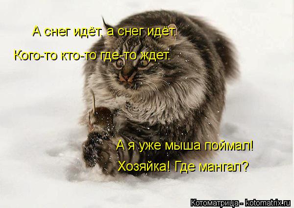 Котоматрица: А снег идёт, а снег идёт. Кого-то кто-то где-то ждет. А я уже мыша поймал! Хозяйка! Где мангал?