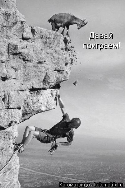 Давай поиграем!... Котоматрица: Давай поиграем!