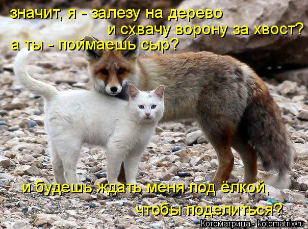 значит, я - залезу на дерево и схвачу ворону за хвост? а ты - поймаешь сыр? чтобы поделиться? и буде... Котоматрица: значит, я - залезу на дерево и схвачу ворону за хвост? а ты - поймаешь сыр? чтобы поделиться? и будешь ждать меня под ёлкой,