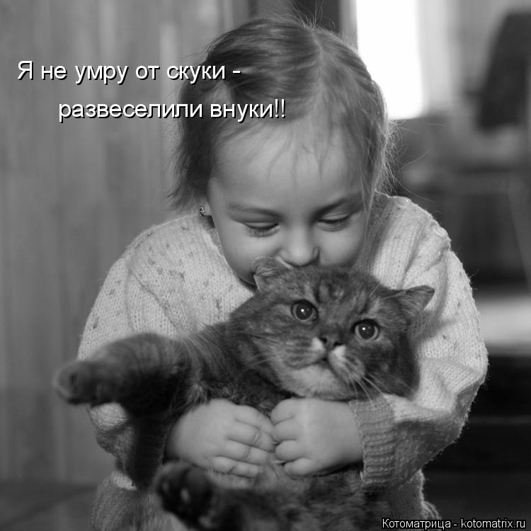 Я не умру от скуки - развеселили внуки!!... Котоматрица: Я не умру от скуки - развеселили внуки!!