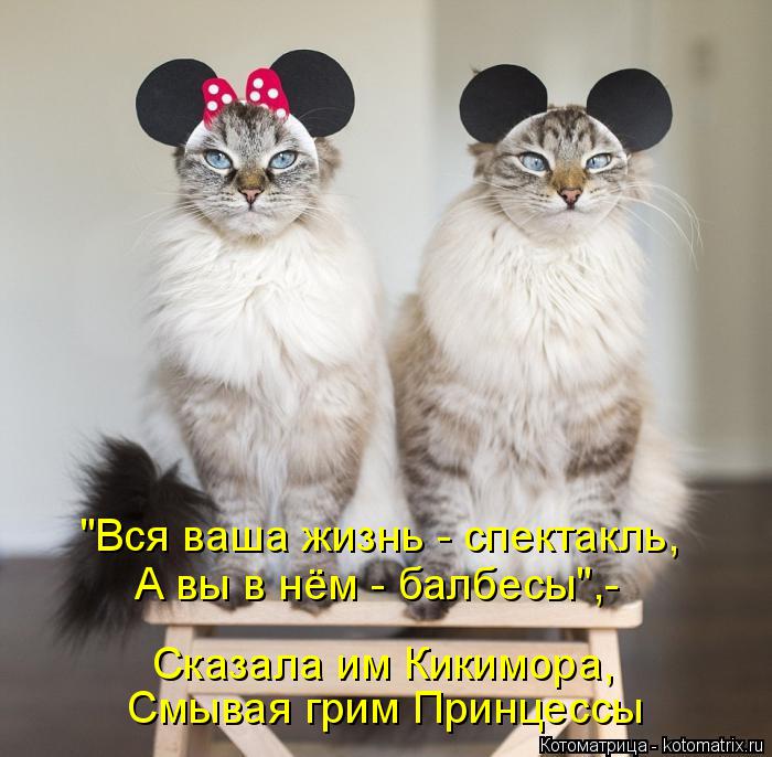 Котоматрица: "Вся ваша жизнь - спектакль, А вы в нём - балбесы",- Сказала им Кикимора, Смывая грим Принцессы