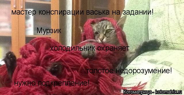 Котоматрица: Мурзик холодильник охраняет толстое недорозумение! мастер конспирации васька на задании! нужно подкрепление!