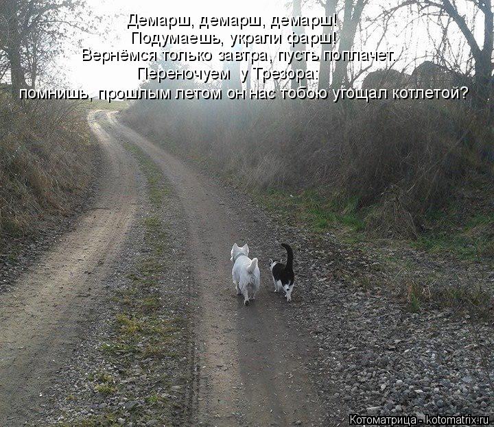 Демарш, демарш, демарш! Подумаешь, украли фарш! Вернёмся только завтра, пусть поплачет. Переночуем у... Котоматрица: Демарш, демарш, демарш! Подумаешь, украли фарш! Вернёмся только завтра, пусть поплачет. Переночуем у Трезора: помнишь, прошлым летом он нас т