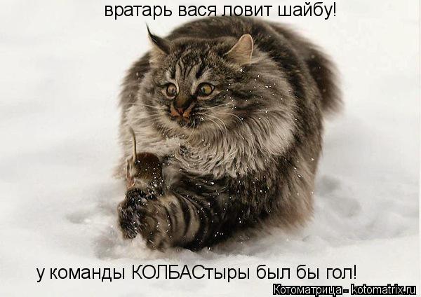 Котоматрица: вратарь вася ловит шайбу! у команды КОЛБАСтыры был бы гол!