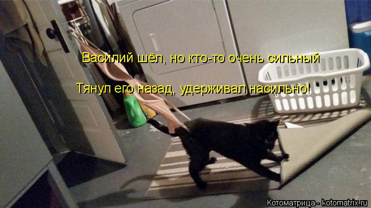Василий шёл, но кто-то очень сильный Тянул его назад, удерживал насильно!... Котоматрица: Василий шёл, но кто-то очень сильный Тянул его назад, удерживал насильно!