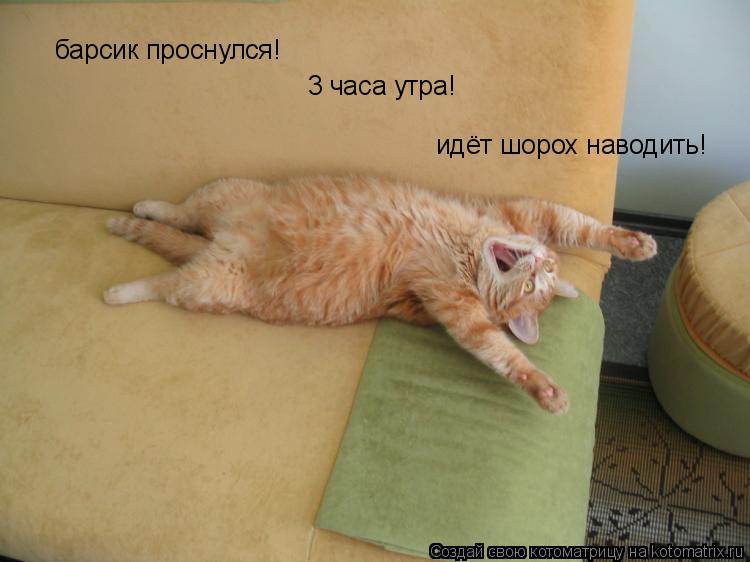 Котоматрица: барсик проснулся! 3 часа утра! идёт шорох наводить!