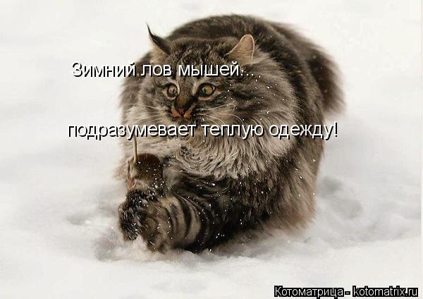 Котоматрица: Зимний лов мышей... подразумевает теплую одежду!