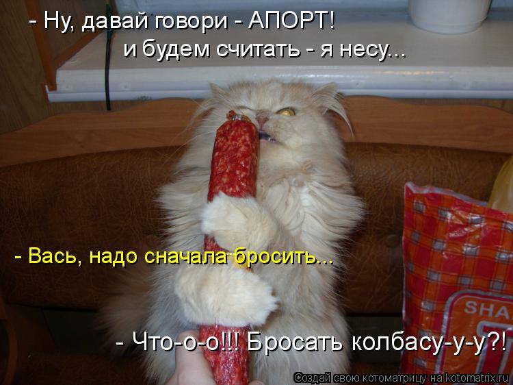 - Ну, давай говори - АПОРТ! - Вась, надо сначала бросить... и будем считать - я несу... - Что-о-о!!! ... Котоматрица: - Ну, давай говори - АПОРТ! - Вась, надо сначала бросить... и будем считать - я несу... - Что-о-о!!! Бросать колбасу-у-у?!