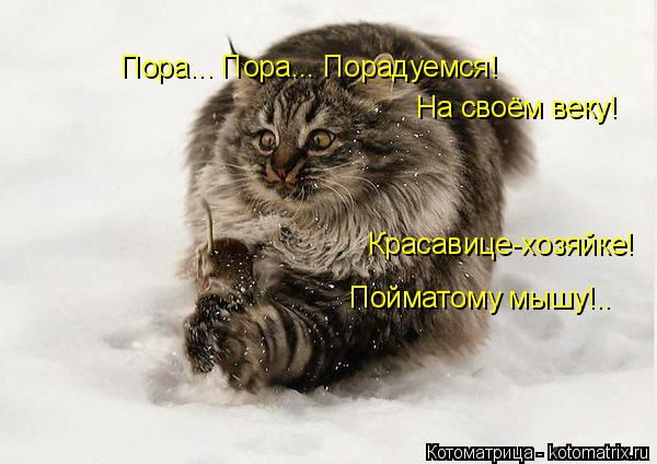 Пора... Пора... Порадуемся! На своём веку! Красавице-хозяйке! Пойматому мышу!..... Котоматрица: Пора... Пора... Порадуемся! На своём веку! Красавице-хозяйке! Пойматому мышу!..