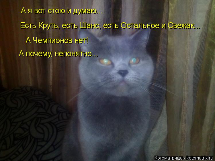 А я вот стою и думаю... Есть Круть, есть Шанс, есть Остальное и Свежак... А Чемпионов нет! А почему, ... Котоматрица: А я вот стою и думаю... Есть Круть, есть Шанс, есть Остальное и Свежак... А Чемпионов нет! А почему, непонятно...