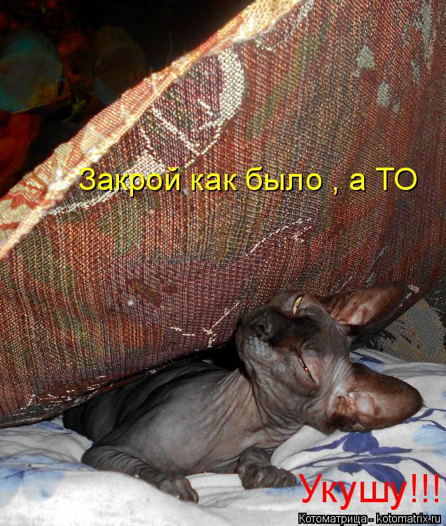 Закрой как было , а ТО Укушу!!!... Котоматрица: Закрой как было , а ТО Укушу!!!