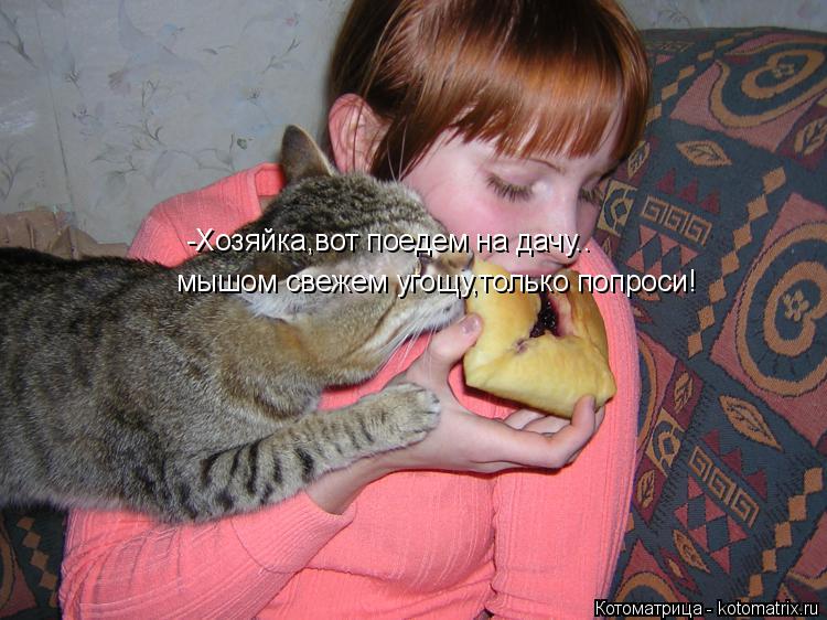 -Хозяйка,вот поедем на дачу.. мышом свежем угощу,только попроси!... Котоматрица: -Хозяйка,вот поедем на дачу.. мышом свежем угощу,только попроси!