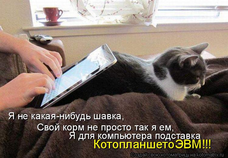 Я не какая-нибудь шавка, Свой корм не просто так я ем, Я для компьютера подставка КотопланшетоЭВМ!!!... Котоматрица: Я не какая-нибудь шавка, Свой корм не просто так я ем, Я для компьютера подставка КотопланшетоЭВМ!!!