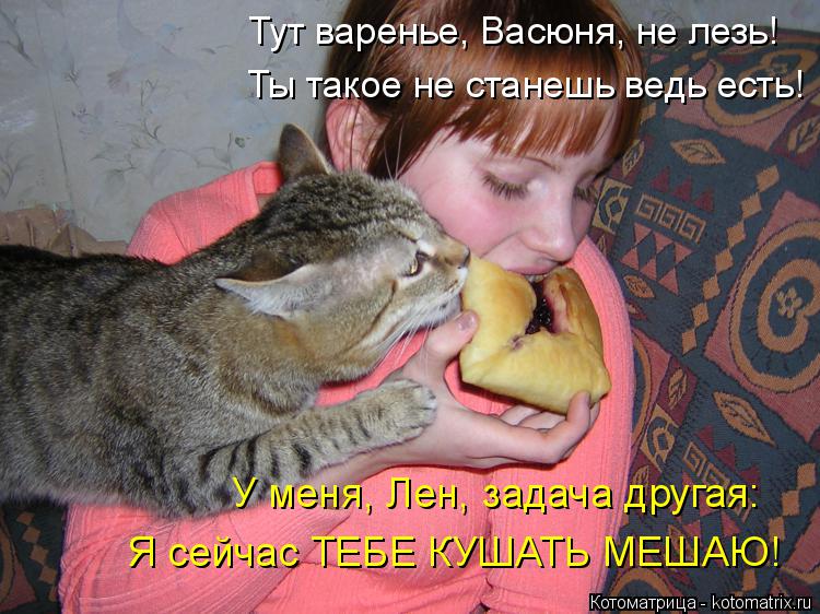 У меня, Лен, задача другая: Я сейчас ТЕБЕ КУШАТЬ МЕШАЮ! Тут варенье, Васюня, не лезь! Ты такое не ста... Котоматрица: У меня, Лен, задача другая: Я сейчас ТЕБЕ КУШАТЬ МЕШАЮ! Тут варенье, Васюня, не лезь! Ты такое не станешь ведь есть!