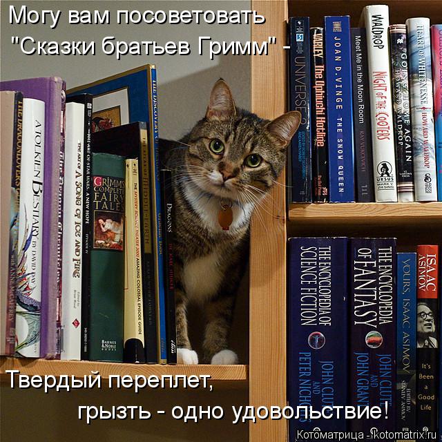 Могу вам посоветовать "Сказки братьев Гримм" - Твердый переплет, грызть - одно удовольствие!... Котоматрица: Могу вам посоветовать "Сказки братьев Гримм" - Твердый переплет, грызть - одно удовольствие!