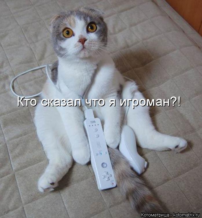 Кто сказал что я игроман?!... Котоматрица: Кто сказал что я игроман?!
