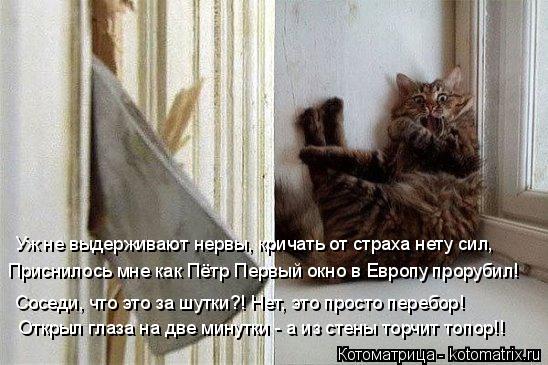 Котоматрица: Уж не выдерживают нервы, кричать от страха нету сил, Приснилось мне как Пётр Первый окно в Европу прорубил! Соседи, что это за шутки?! Нет, это